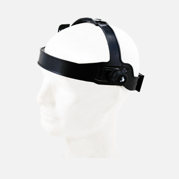 Zesp&oacute;ł nagłowia